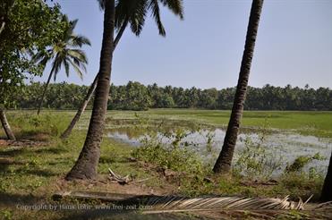 01 Holiday_Inn_to_Magao_by_cab,_Goa_DSC7644_b_H600